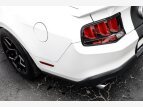 Thumbnail Photo 30 for 2010 Ford Mustang